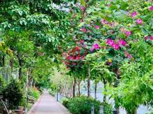 Hình ảnh HUNGVILAND Mua Bán Và Cho Thuê Nhà Phố Garland 72 DƯƠNG ĐÌNH HỘI Q9