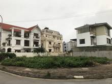 Hình ảnh Chính chủ cần bán 50m TĐC Phố Trạm, khu đất siêu kinh doanh.