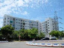 Hình ảnh cho thuê chung cư vicoland 2 phòng ngủ 70m2 giá chỉ 3.5tr/th Sơn Trà