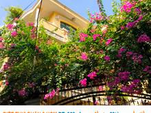Hình ảnh BIỆT THỰ QUẬN 3 HCM* DT: 368m² mua Trang MB66.COM Chính Thức - MB 66 Uy Tín 69 tỷ cần tiền bán lỗ 55tỷ