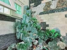 Hình ảnh Biệt thư chuẩn KV Lý thương kiệt-Tân Trang quận tân Bình giảm hơn 1 tỷ