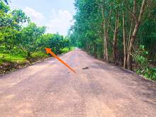Hình ảnh Chủ đá gà thua đậm bán GẤP vườn điều 1600m2 ngay sân bay Long Thành.