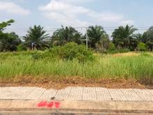 Hình ảnh bán 101m2 đất Tân Thông Hội-Củ Chi 1tỷ1