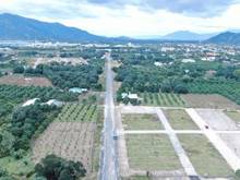 Hình ảnh Đất nền khu công nghiệp suối dầu