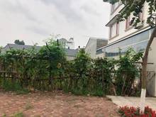 Hình ảnh Cần bán gấp lô đất đấu giá mặt đường 21m Phúc Lợi, Long Biên: