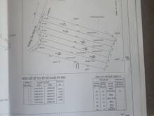 Hình ảnh Đất tân bình 04 cách đường ĐT 741 100m, Dt 2000m2 giá chỉ 2Triệu/m2