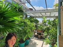 Hình ảnh Chính chủ nhà 115m2, đường Hậu Giang, Q6 ngang 9m, giá 6 tỷ 6