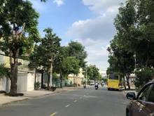 Hình ảnh Nền đất 85M2 ngay KDC Tên Lửa 2, liền kề TTTM Aeon Mall Bình Tân