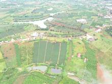 Hình ảnh Đất nền 100m2 thổ cư Sổ Hồng Riêng Tp.Bảo Lộc Đối diện đồi chè Tâm Châ