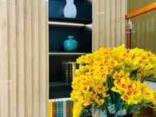 Hình ảnh KDC mới xây tại trung tâm Tân Phú 5 lầu,dt 8x16, SHR,giá trực tiếp CĐT