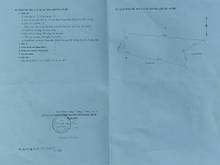 Hình ảnh Cần bân 6Ha rẫy Long Bình Phú Riềng BP. SHR Có 400m2 TC giá 870tr/Ha.