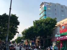 Hình ảnh Bán nhà mặt tiền Hoàng Việt, P.4, Tân Bình. 330m2 Giá 65 Tỷ !