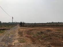 Hình ảnh Đất vườn Trảng Bom 1000m2 sổ hồng riêng đường ô tô giá 900 triệu