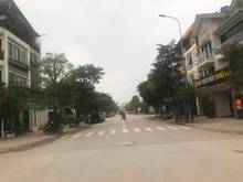Hình ảnh Tôi cần bán gấp lô đất 205m2 khu 31HA Trâu Quỳ, Gia Lâm giá rẻ bất ngờ