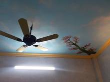 Hình ảnh Bán nhà Bạch Đằng,20m2,3 tầng, mt5m, 1.65 tỷ, ngõ nông, rộng 098124058