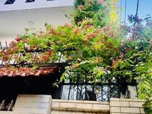 Hình ảnh Xuất cảnh bán nhanh nhà HXH Tô Hiến Thành, P13, Q10 -5x15m,3T- 15,5 tỷ