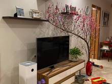 Hình ảnh Cho thuê Trang Chủ MB66.COM / Đăng Ký Tặng 66K tại C14 Bắc Hà, Trung Văn, Nam Từ Liêm, 3PN, 98m2.
