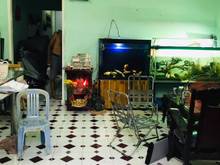 Hình ảnh HXH Bùi Đình Túy, P24, BT. 82m2 - Giá 8.2tỷ.