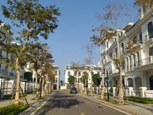 Hình ảnh Bán biệt thự song lập 150m2 tại Vinhomes Star City Thanh Hóa giá CĐT