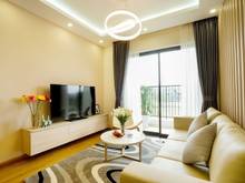 Hình ảnh cho thue can ho chung cu dt 90m2