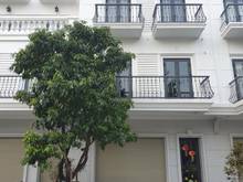 Hình ảnh Bán Shophouse, đường 36m, vỉa hè 5m, ngay chợ Hưng Long, Sổ riêng