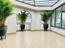 Hình ảnh Mặt tiền Bạch Đằng 2 lô đất duy nhất 14x22m, giá rẻ nhất Phường 2
