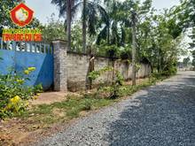 Hình ảnh Bán nhà xưởng 1/ đỗ đăng tuyển - 1912m2 - 26x74 - 500m2 thổ cư - xã