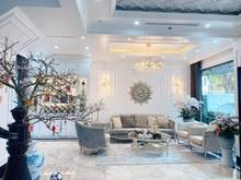 Hình ảnh biệt thự Mỹ Giang, ngay cầu ánh Sao, Phú Mỹ Hưng, Gia 33 triệu.