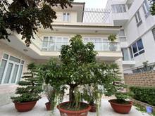 Hình ảnh Cho Thuê Biệt Thự Trần Não Nội Thất Cao Cấp 16x21m - Giá Thuê 3000$