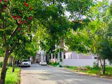 Hình ảnh Bán đất ngay KDC Tân Cảng, Phú Hữu, Q9. MT Nguyễn Duy Trinh, giá 2.4ty