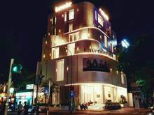 Hình ảnh Siêu Biệt Thự MT - Nguyễn Minh Hoàng , CN 192m2 , KC H+4L , 43ty TL