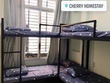 Hình ảnh 🍒Tìm người ở ghép tại homestay KTX cao cấp Q10 🤗