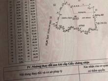 Hình ảnh Cần bán 5,5ha vườn long bình phú riềng BP, có 400m TC, giá 850tr/ha.