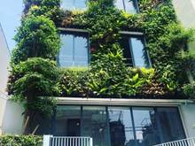 Hình ảnh Chính chủ bán nhà 7.5x22 7 lầu, có thu nhập 200triệu/ tháng