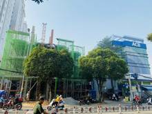 Hình ảnh Mua ngay kẻo bỏ lỡ siêu phẩm shop house mặt tiền tại trung tâm Tân Phú