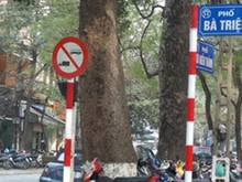 Hình ảnh Cho thuê mặt bằng phố Bà Triệu
