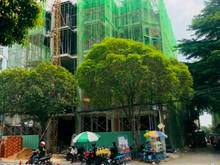 Hình ảnh Mở bán shophouse 6 lầu thang máy, dt 8x20, SHR, Mặt tiền Nguyễn Sơn
