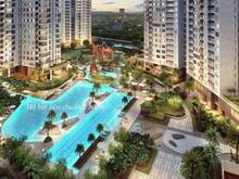 Hình ảnh Cần cho thuê Trang Chủ MB66.COM / Đăng Ký Tặng 66K cao cấp giá hợp lí