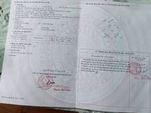 Hình ảnh Đất đẹp khu TĐC Phú Cát, Quốc Oai, 335,5m2, đường oto, vỉa hè 3m, SĐCC