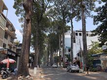 Hình ảnh HH 1%,Bán nhà 86 Sương Nguyệt Anh, Q1. DT: 8x20m, Hầm, 7 Tầng, 130 tỷ