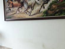 Hình ảnh Đang cần cho thuê Trang Chủ MB66.COM / Đăng Ký Tặng 66K Topaz City, Quận 8, 70m2, 2PN, Giá 9Triệu