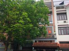 Hình ảnh Cho thuê Biệt thự Mỹ Đình 1 95m2 4 Tầng MT 8m. Thông sàn, Giá 20tr