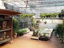 Hình ảnh Bán nhà đất khu Phan Xích Long - đường Hoa, Phú Nhuận (12x21m), giá 50