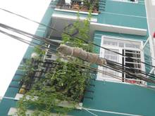 Hình ảnh Chính chủ bán nhà đường Phạm Hữu Lầu