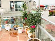 Hình ảnh Nhỉnh 3 tỷ sở hữu căn nhà Thụy Khuê, ngõ thông ra Hồ Tây, full nội th