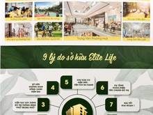 Hình ảnh Elite Life Long An – Dự án Khu đô thị Thương mại đẳng cấp Ven Sông của