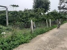 Hình ảnh Bán nhà và đất 5,5 sào thôn 7 Lộc Thành