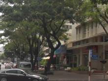 Hình ảnh Cần Bán Rất Gấp Shophouse 2 Mặt Tiền Đường Nguyễn Đức Cảnh- Phú Mỹ Hưn