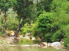 Hình ảnh Đất view đẹp suối bao quanh thích hợp nghỉ dưỡng tại Lộc Nam