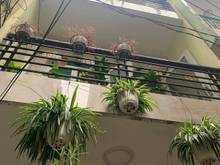 Hình ảnh Bán nhà Đường Hậu Giang, DT 40m2, 3 tầng, giá cực rẻ 4 tỷ 85